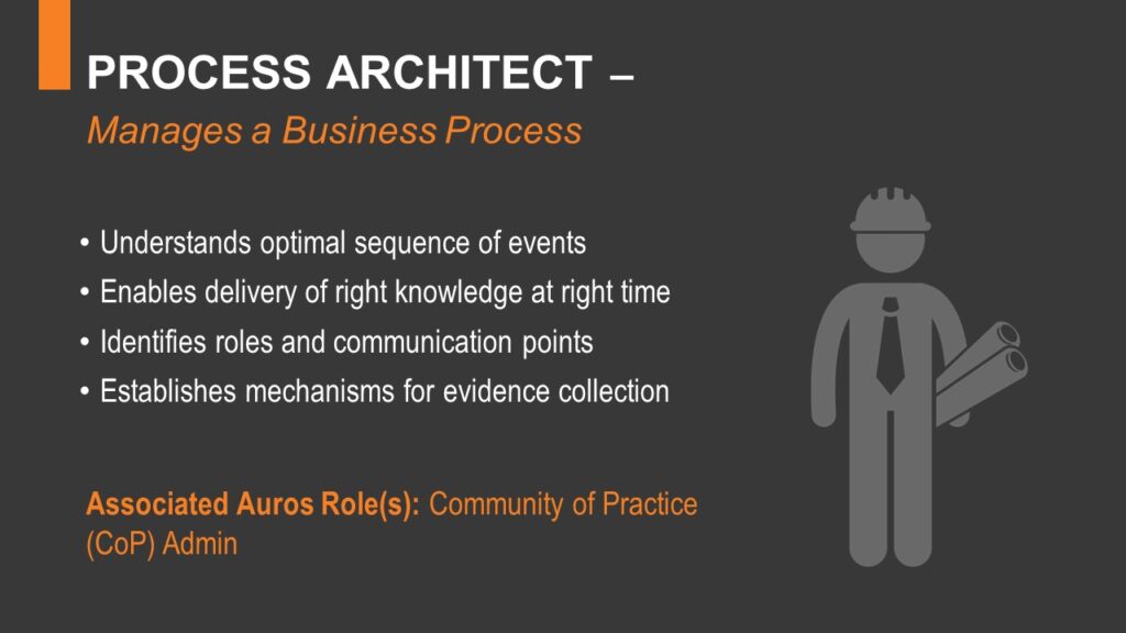 Process Architect